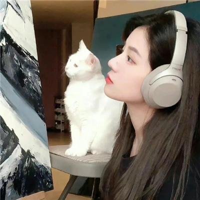 秋光乍泄