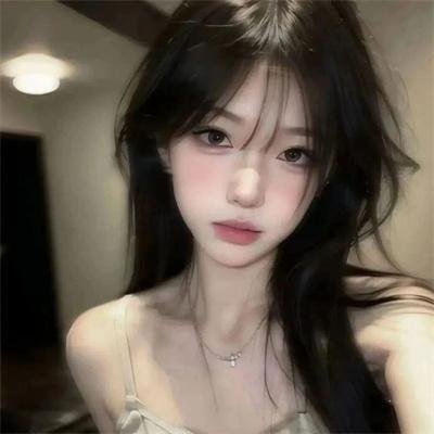 领航人